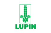 Lupin